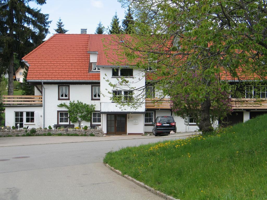 Pension Tannenheim Шлухзее Экстерьер фото
