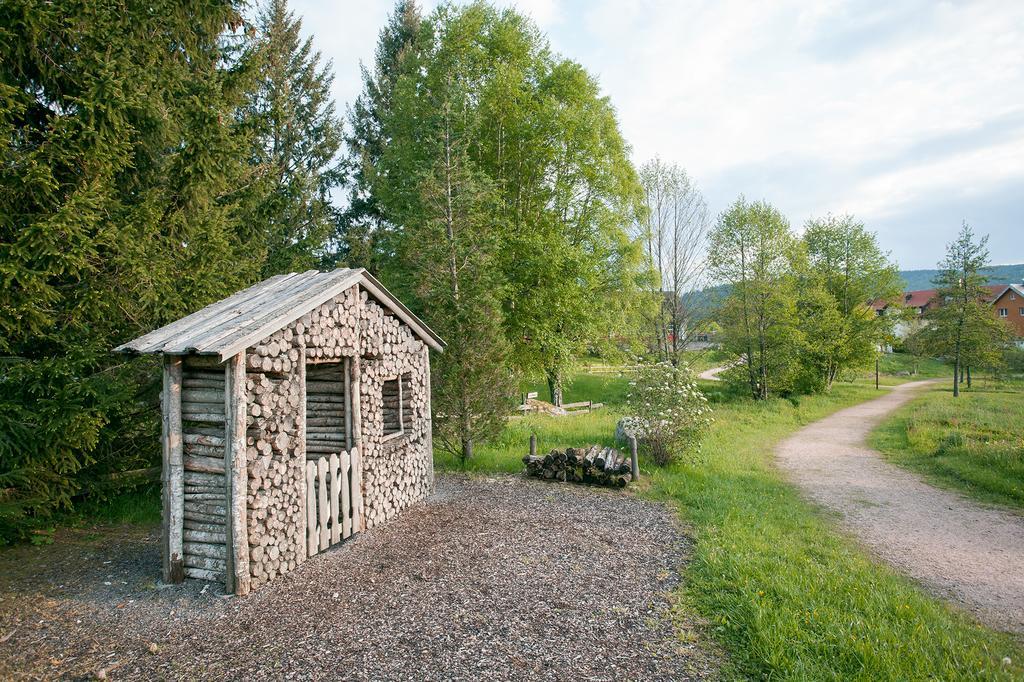 Pension Tannenheim Шлухзее Экстерьер фото
