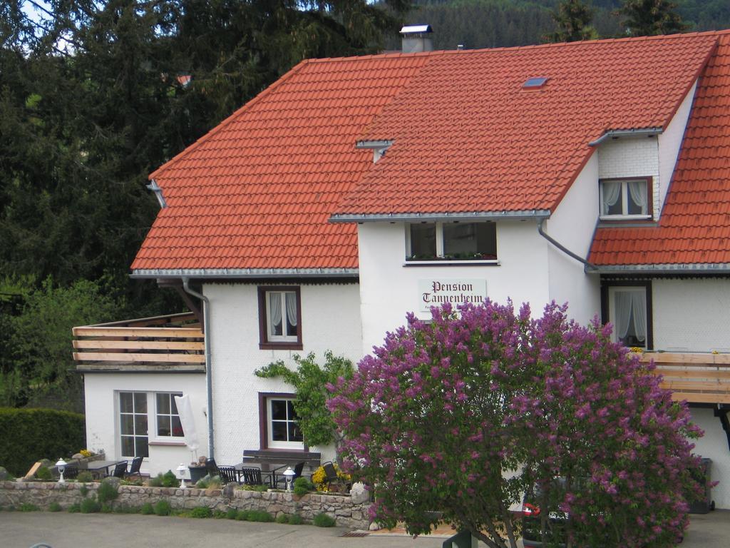 Pension Tannenheim Шлухзее Экстерьер фото
