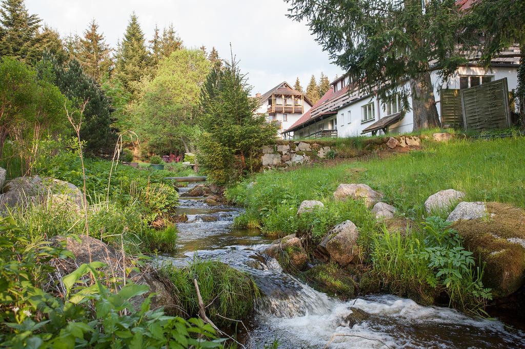 Pension Tannenheim Шлухзее Экстерьер фото